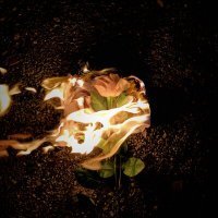 Скачать песню VVIRST - Пламя