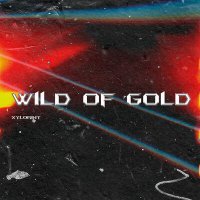 Скачать песню xylorint - Wild of Gold