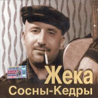 Скачать песню Жека - Пилят пилы