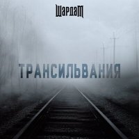 Скачать песню ШардаМ - Трансильвания