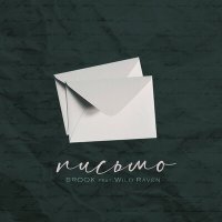 Скачать песню Brook, Wild Raven - Письмо