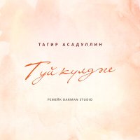 Скачать песню Тагир Асадуллин - Туй кулдэге (Ремейк Darman Studio)