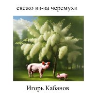 Скачать песню Игорь Кабанов - Дождик в декабре