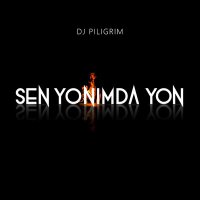 Скачать песню DJ Piligrim - Sen Yonimda Yon