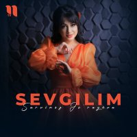 Скачать песню Sarvinoz Jo'rayeva - Sevgilim