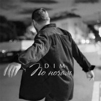 Скачать песню DIM - По ночам