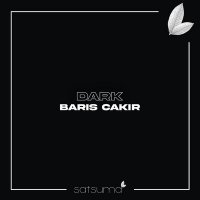 Скачать песню Barış Çakır - Dark