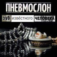 Скачать песню Пневмослон - Только, сука, не у нас