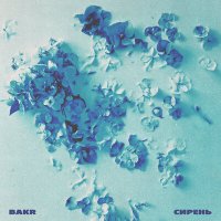 Скачать песню Bakr - Апрельская сирень