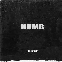 Скачать песню Frost - Numb