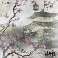 Скачать песню Naik - Я бы хотел