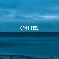 Скачать песню Paradoxic - Can't Feel