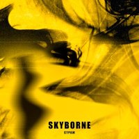 Скачать песню Skyborne - Страж