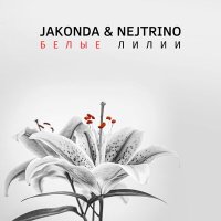 Скачать песню JAKONDA & NEJTRINO - Белые Лилии