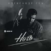 Скачать песню Александр Гум - Ночь