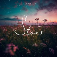 Скачать песню TRITICUM - Stars