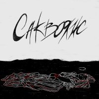 Скачать песню Саквояж - Н.П.Н.М.