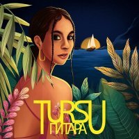 Скачать песню Tursu - Гитара