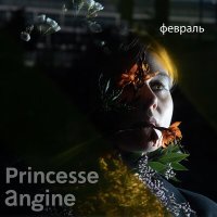 Скачать песню Princesse Angine - Февраль