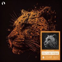 Скачать песню DAV5, Teseo - Felt Like Home