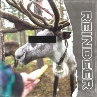 Скачать песню WhySamX - Reindeer