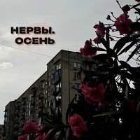 Скачать песню POLTABLETKI - Нервы. Осень