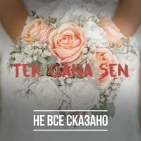 Скачать песню Не Всё Сказано - TEK QANA SEN