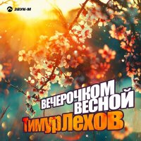 Скачать песню Тимур Лехов - Вечерочком весной