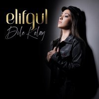Скачать песню Elifgül - Dile Kolay
