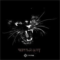 Скачать песню FreeГад - Чёрный кот