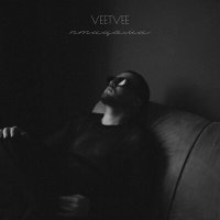 Скачать песню VEETVEE - Птицами