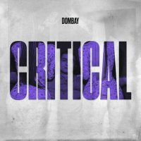 Скачать песню Dombay - CRITICAL