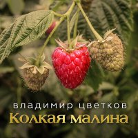 Скачать песню Владимир Цветков - Чёрный крест