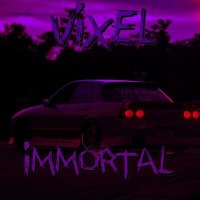 Скачать песню VIXEL - IMMORTAL