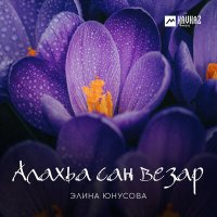 Скачать песню Элина Юнусова - Алахьа сан везар