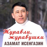 Скачать песню Азамат Исенгазин - Журавли, журавушки