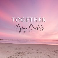 Скачать песню Flying Decibels - Together