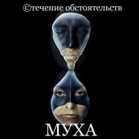 Скачать песню Муха - Не жалей о них