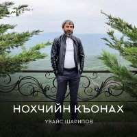 Скачать песню Увайс Шарипов - Нохчийн къонах