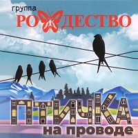 Скачать песню Рождество - Птичка на проводе