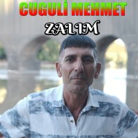 Скачать песню Cuguli Mehmet - Zalım