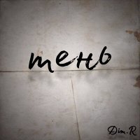 Скачать песню DIM.R - Тень