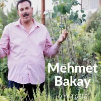 Скачать песню Mehmet Bakay - O Yar Gele