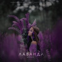 Скачать песню Шалих - Лаванда