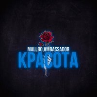 Скачать песню Mallbo, Ambassador - Красота