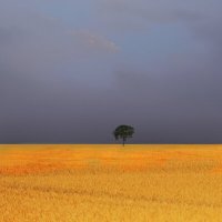 Скачать песню KANABE - Для тебя