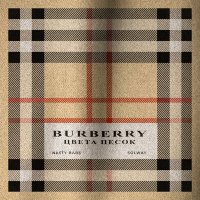 Скачать песню Nasty Babe, Solway - Burberry цвета песок (DENDY Remix)