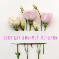 Скачать песню Бока - Красавица