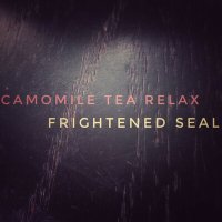 Скачать песню Camomile Tea Relax - Frightened Seal