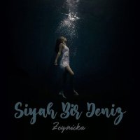 Скачать песню Zeynicka - Siyah Bir Deniz